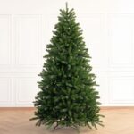 Christmas Tree - Ontario premium