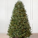 Fraser Fir Trees