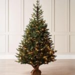 Norway Christmas Tree