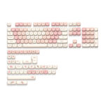 XVX Sakura