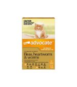 Advocate Orange For Small Cat